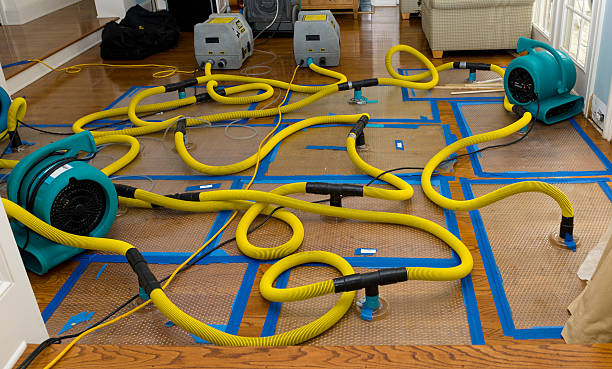 Professional Water Damage Restoration technician working in Alum Creek, WV